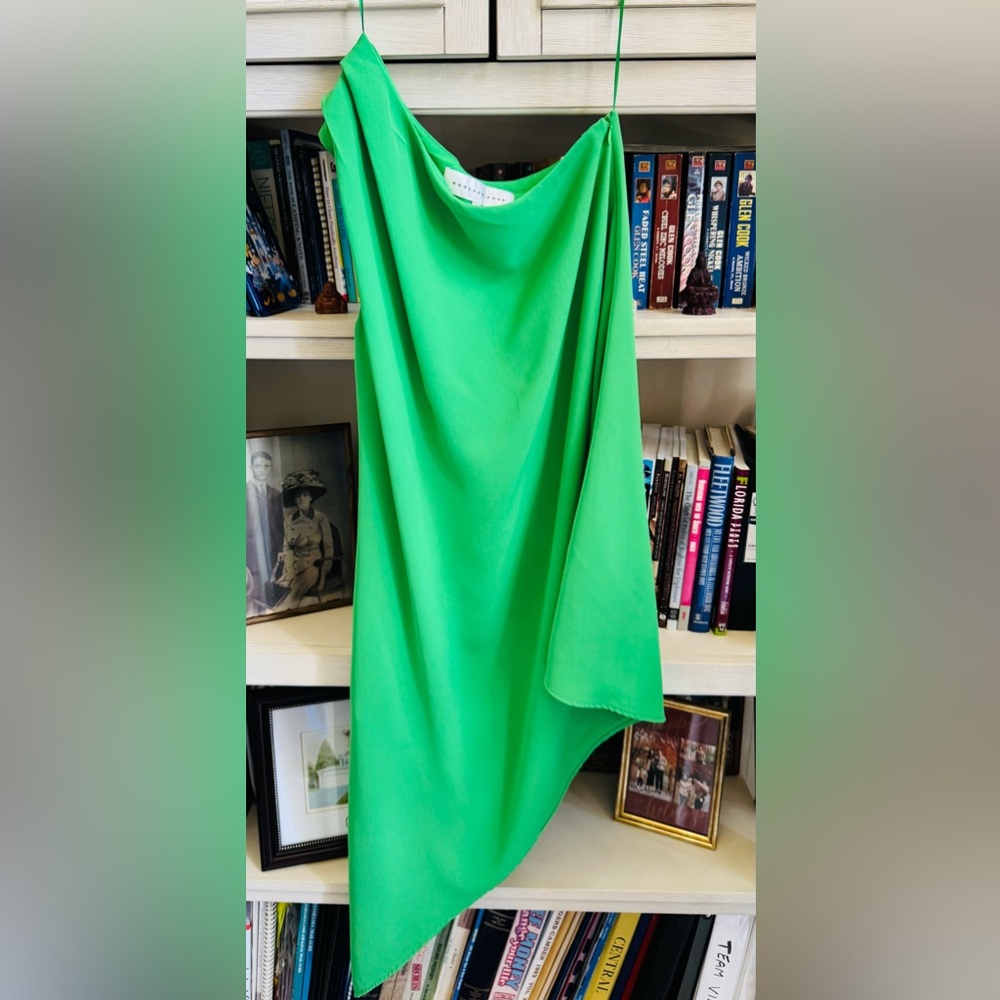 Endless Rose Mint Green Fabric